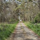 증도면사무소 이미지