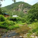 시골다슬기 이미지