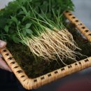 이선호농장 이미지