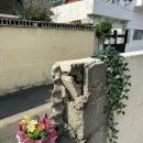 코코쿡&샤브 금융단지점 이미지