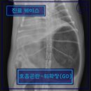 GD동물병원 이미지
