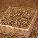 기생한의원 이미지