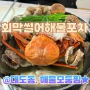 포항 '회막썰어해물포차' 현지인도 모르는 숨은 찐로컬맛집