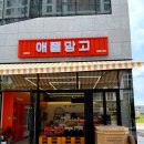 고흥앤애플망고