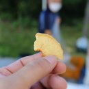 로컬푸드직매장(새롬동) 이미지