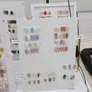 하신중앙로 | [하단 이지뷰티] 신상 아트 컬러 맛집ㅣ가성비 유지력 좋은 하단동 네일샵 추천ㅣ토탈뷰티샵