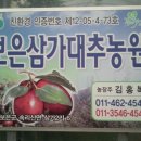 보은삼가대추농원 이미지