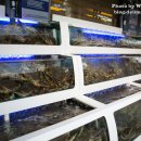 대게나라 (광주점) 이미지