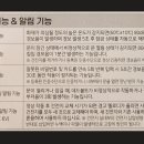 해피트리H