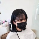 버디터6호 이미지