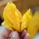 창희네 농장 이미지