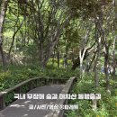 숲길 걷기 동아리 활동 | 아차산 둘레길 아이와 함께 걷기 편할까? 국내 숲캉스 아차산 동행숲길 주차 후기