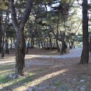 정선이야기 이미지