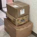 삼천순환로 | 2025 궁디팡팡 캣페스타 서울 SETEC 오픈런 사냥 대성공 후기 -`♥´-