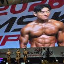 (주)월드트레이딩코리아 | [대한보디빌딩] 2026 미스터 &amp; 미즈 코리아 첫 직관 후기!🔥 (feat. 클래식 보디빌딩💪)