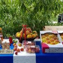 은희농장 이미지