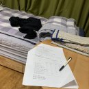 수면 무호흡 수면다원검사 내시경검사 솔직 후기 및 가격 실비보험?