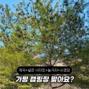 또올래캠핑장 이미지