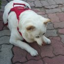 약수식당 이미지