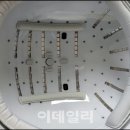 메디보니 이데일리