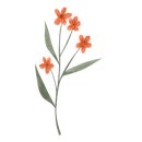 꼬모윤(comoyoon) 네이버블로그