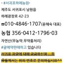 대저초등학교 이미지
