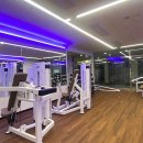 지와이 피티 이미지