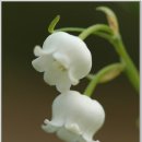 달맞이 펜션 이미지