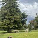 삼계로얄작은도서관 | [시드니 5,6일차] 로얄보타닉가든 산책 시드니 주립도서관 바토티스 퀸빅토리아빌딩 시드니 야경 빅버스...