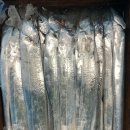 제주은갈치 이미지