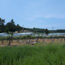 전원락농장 이미지