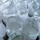 대영상사 이미지