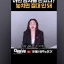 노블리결혼정보