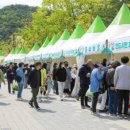 양평 용문산 관광단지서 26~28일 산나물 축제 이미지