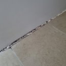 부천-상동-부천-45 | 부천 줄눈 시공 케라폭시 욕실 곰팡이해결 상동 다인로얄팰리스