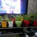 세경농장 이미지