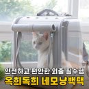 앨리스켄넬 | 고양이 이동가방 고민 끝! 옥희독희 네모냥백팩 후기