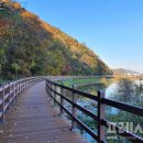 용인-이동-1 이미지