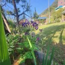 청도한옥민박 이미지