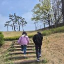 (성인)엄마가 미리 배우는 세계문화와 역사 | 수원화성 주차, 화성어차 예약, 화성행궁 해설 투어 방문 후기_초등역사체험 국내여행 아주 추천