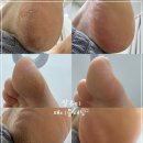 꼼꼼속눈썹 이미지