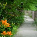 법수리마을 이미지