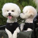 유나호텔 이미지