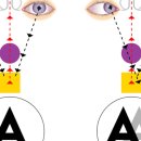 안경박사포항점 이미지