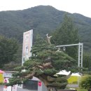 정원식당 앞 이미지