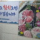 쿠라쿠라참치