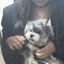 공차 의정부고산점