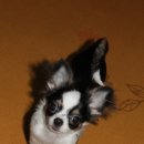 동이네집 이미지