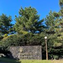 컨트리팜 | 제주 해비치컨트리클럽 노캐디 2인 셀프라운딩 가격, 후기