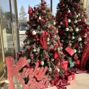 다요코퍼레이션 | 260117 <뮤지컬 킹키부츠> 자첫 후기 (2층 1열)